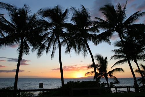 Maui is the perfect destination for families.