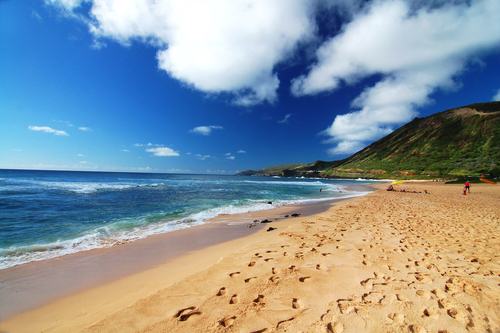 Valentine's Day in Hawaii