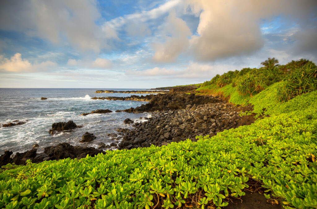 maui-island-hawai