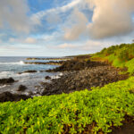 maui-island-hawai